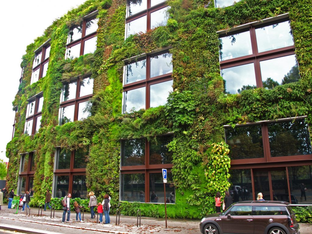 Jardines Verticales: una Innovación al alza en la Construcción Sostenible Jardines Verticales: una Innovación al alza en la Construcción Sostenible